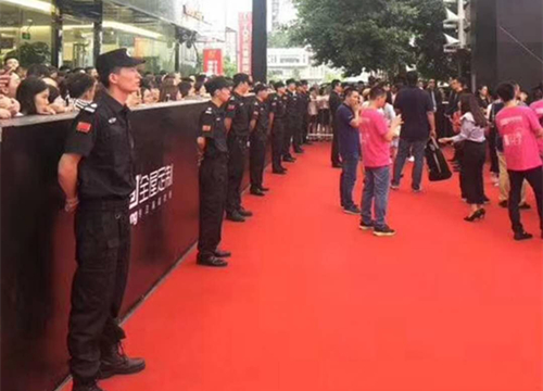 某活动安保服务水蜜桃视频下载