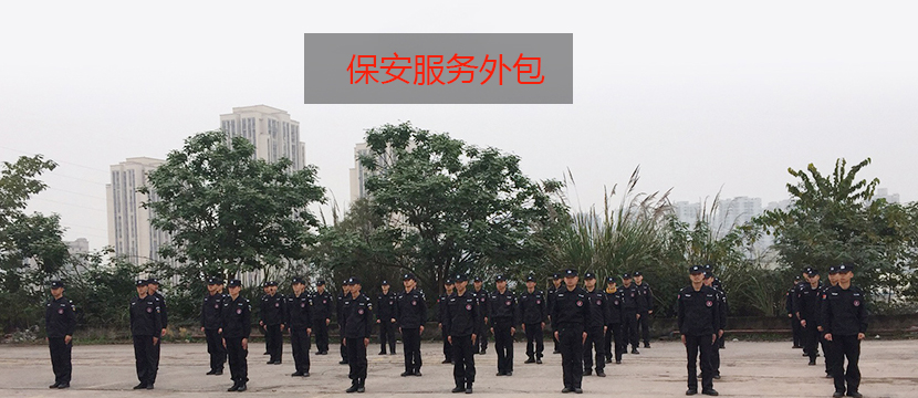 在中国人力资源水蜜桃视频下载成为了主流的选择